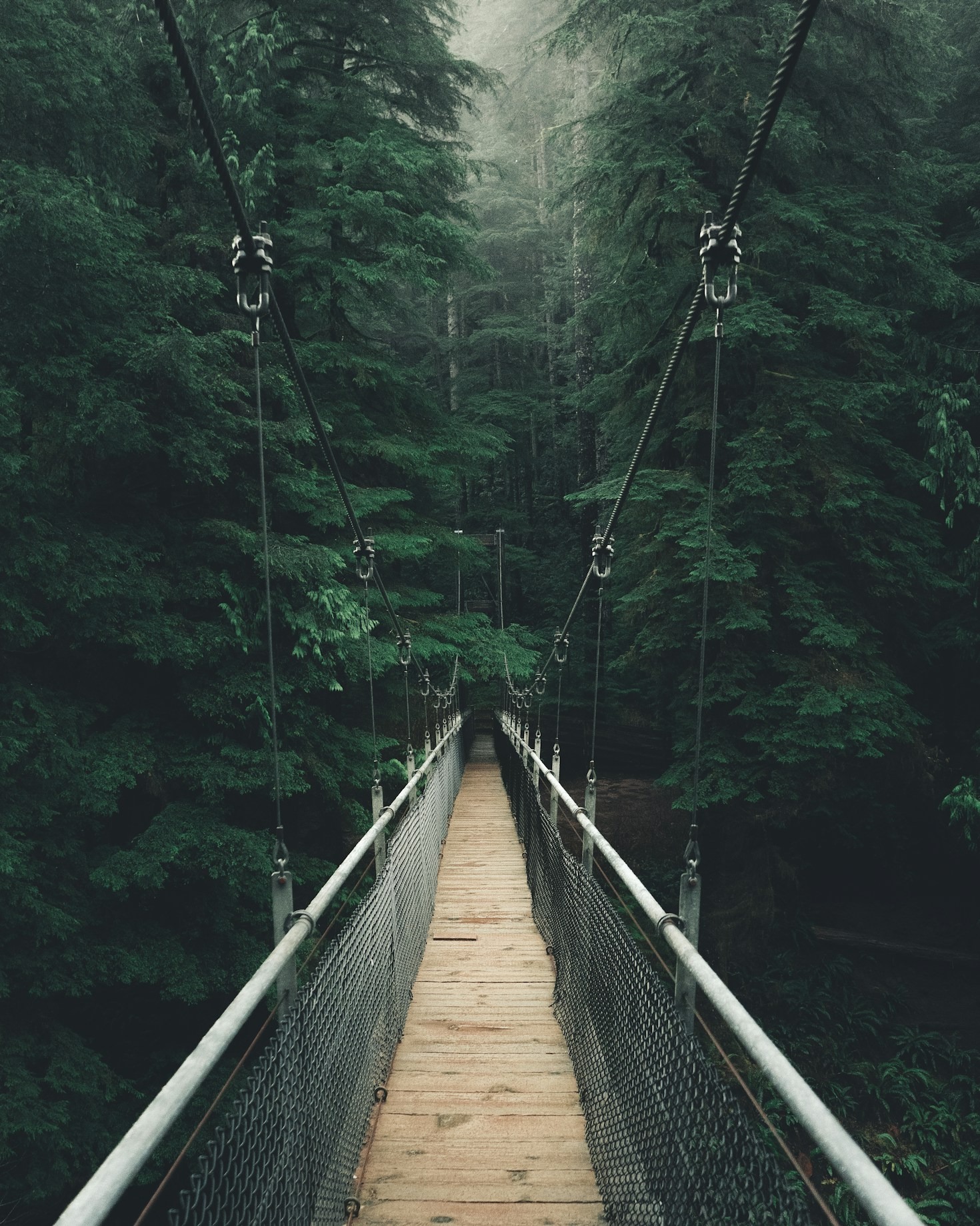 Capturing Memories Through The Lens Abroad